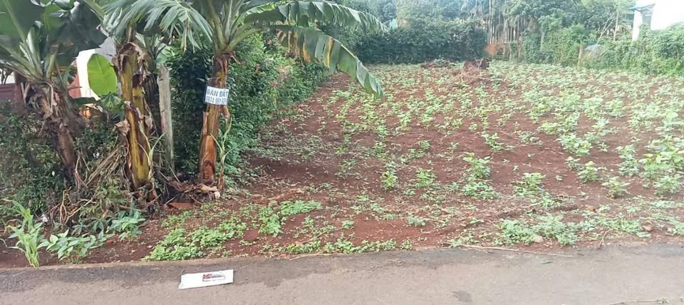 Đất Buôn Ma Thuột 8m x 69m, 2 tỷ xíu, sổ đỏ sẵn sàng, chốt là bay