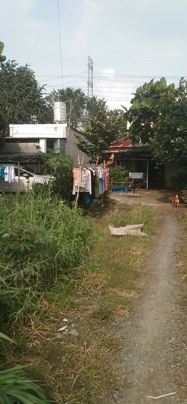 Cơ hội sở hữu ngay lô đất 4x20m tại Hẻm 700m đường Nguyễn Kim Cương