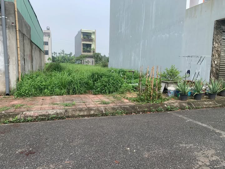 Đất vàng Đông Hòa, Trà Lý - Vị trí đắc địa, tiềm năng sinh lời