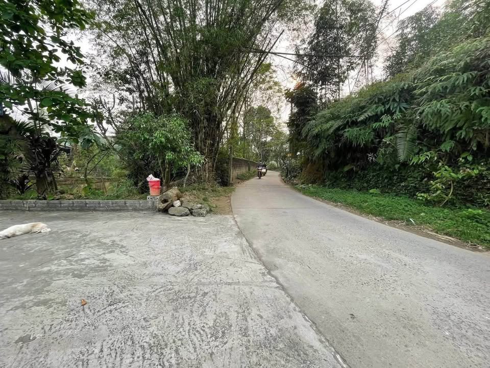 Bán nhanh đất thổ cư 563m2, mặt tiền đẹp tại thành phố Yên Bái