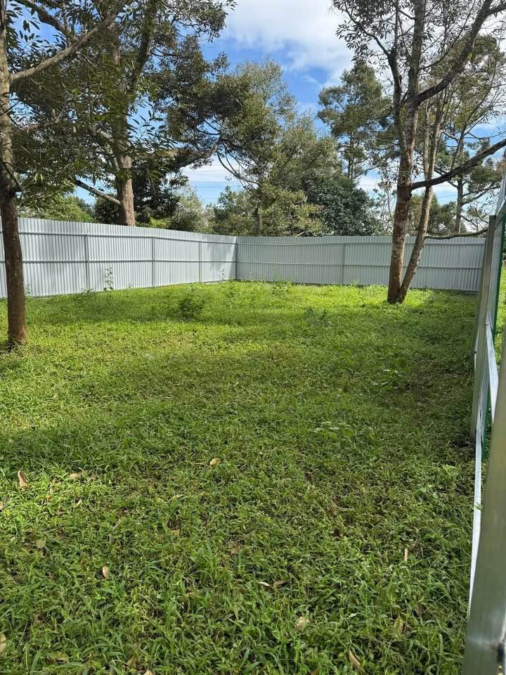 Đất sào Nguyễn Xuân Nguyên chốn an cư lạc nghiệp, xây nhà vườn chill hết nấc