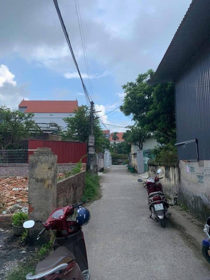Bán lô đất liền kề Lương Xá, Lương Điền, Cẩm Giàng - Cơ hội đầu tư sinh lời