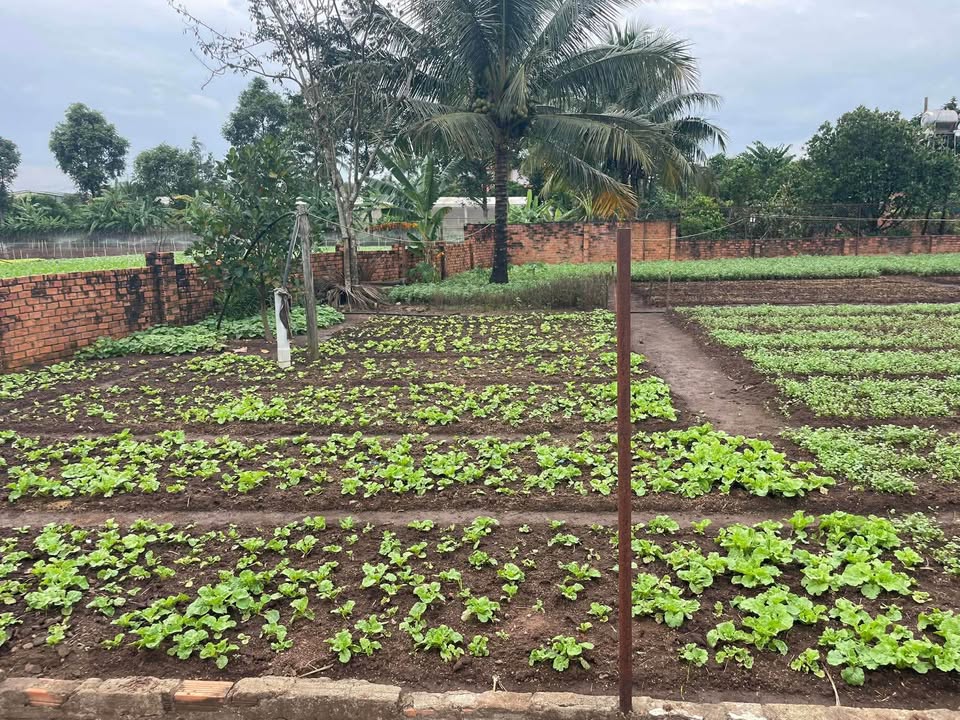 Cơ hội sở hữu ngay lô đất cực phẩm tại mặt đường dân cư Khánh Xuân