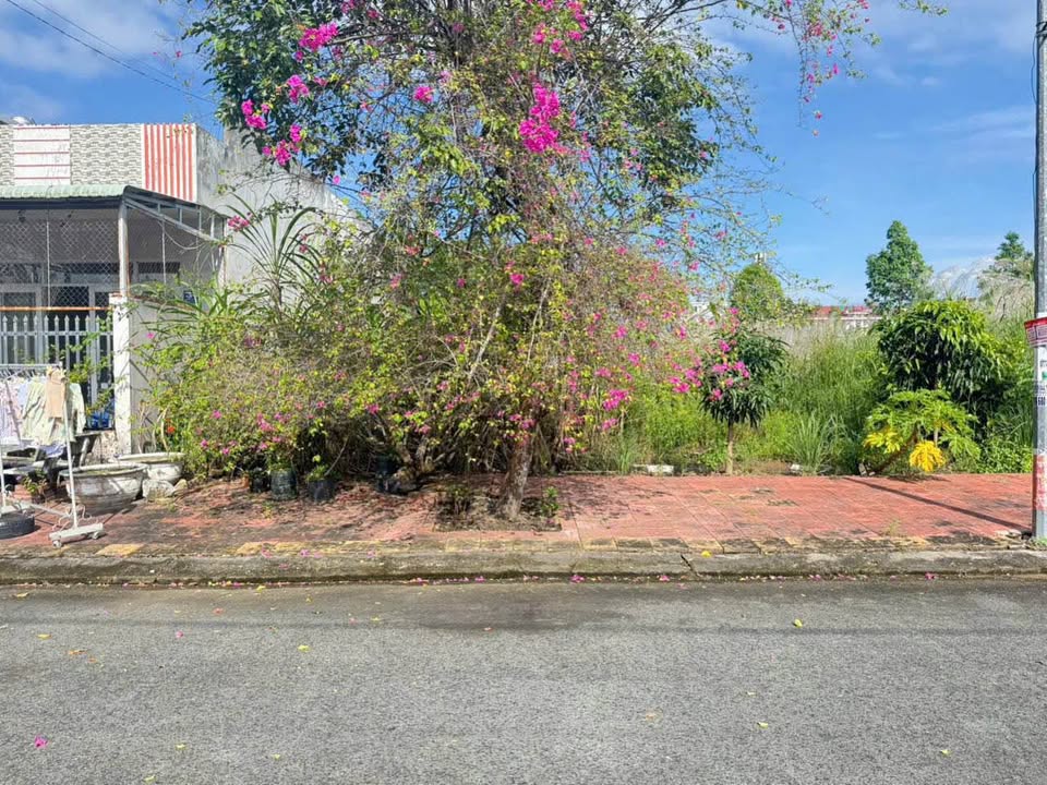 Nền đất siêu đẹp tại Phường Vị Tân, thành phố Cần Thơ đang chờ chủ mới