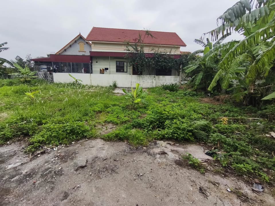 Bán mảnh đất đầy tiềm năng tại thôn Vũ Vĩ, xã Minh Tân, Kiến Thụy