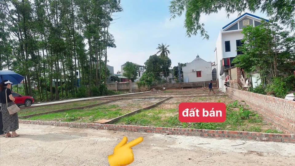 Chào mừng đến với siêu phẩm đất nền tại Bìa Làng Nam Cường, xã Nội Bài, Sóc Sơn, Hà Nội