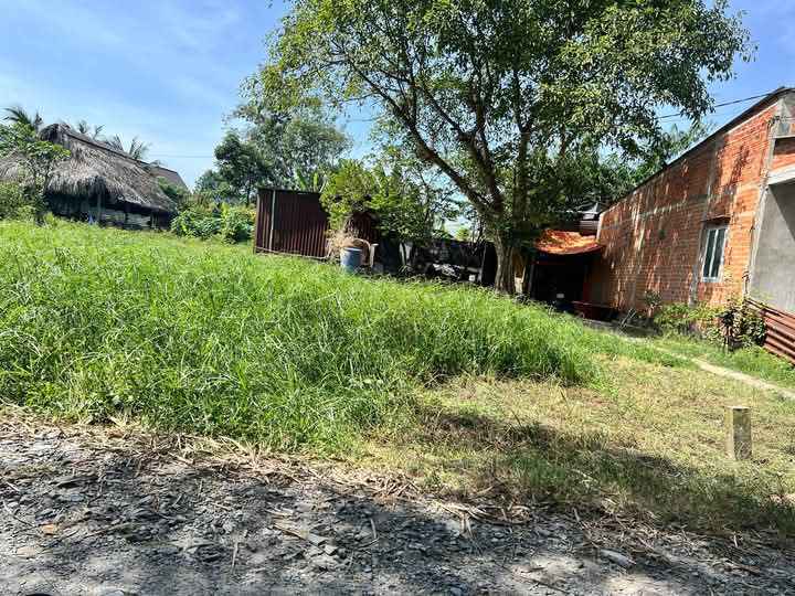 Đất vườn xịn sò, diện tích 7m x 38m, sổ hồng riêng sẵn sàng trao tay