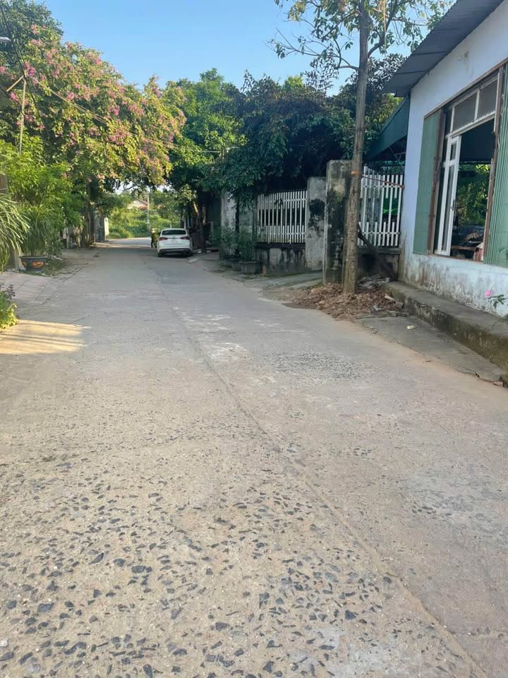 Chỉ với hơn 500 triệu đồng, bạn có cơ hội sở hữu ngay lô đất 110m2 tại Tam Dương Bắc