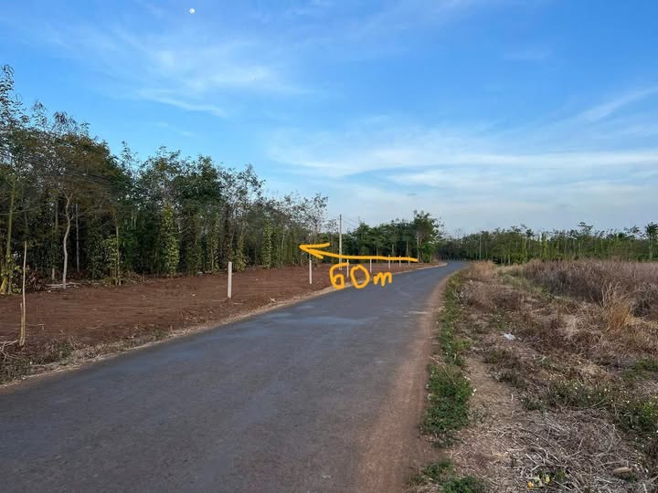 Bán 5,4 sào đất vuông vức, giá 1,55 tỷ bao giấy tờ