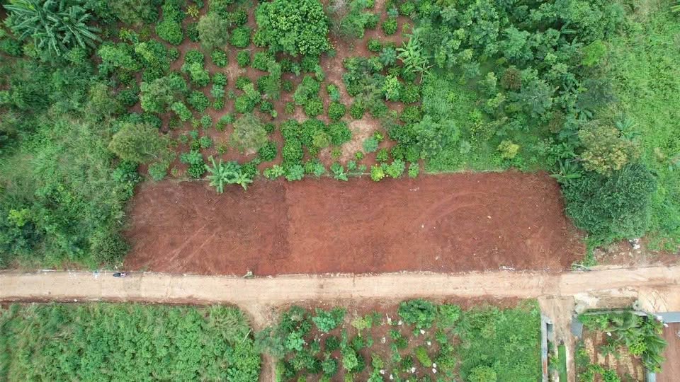 Chào mừng quý khách đến với tuyệt tác đất vườn tại Đắk Lắk