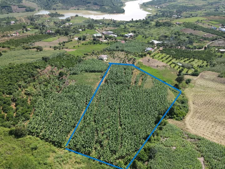 Đất view sông Đồng Nai 3000m² sắm ngay nhà vườn 630 củ