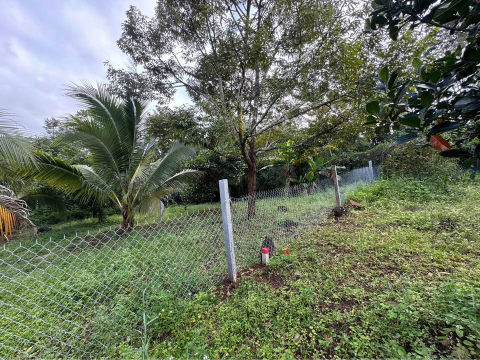 Bán đất mặt tiền đường Đỗ Xuân Hợp nối dài, diện tích 900m2, Đắk Lắk