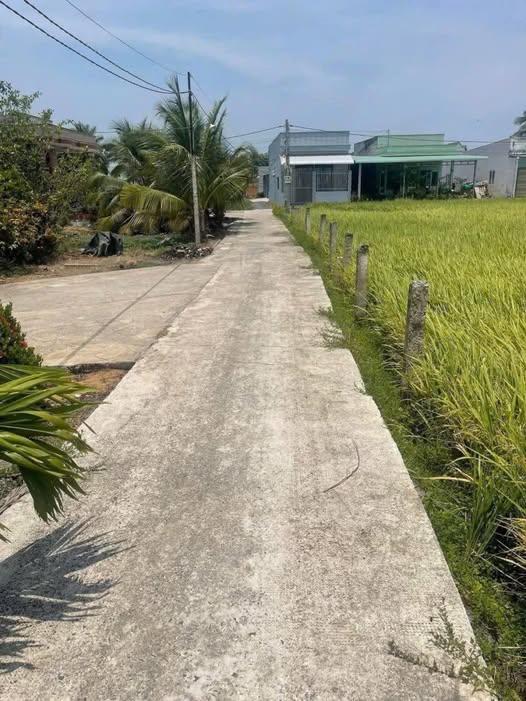 Đất lúa 1,400m² thành phố Tân An, vườn xinh hay đầu tư dài hạn, giá chỉ 1,85 tỷ