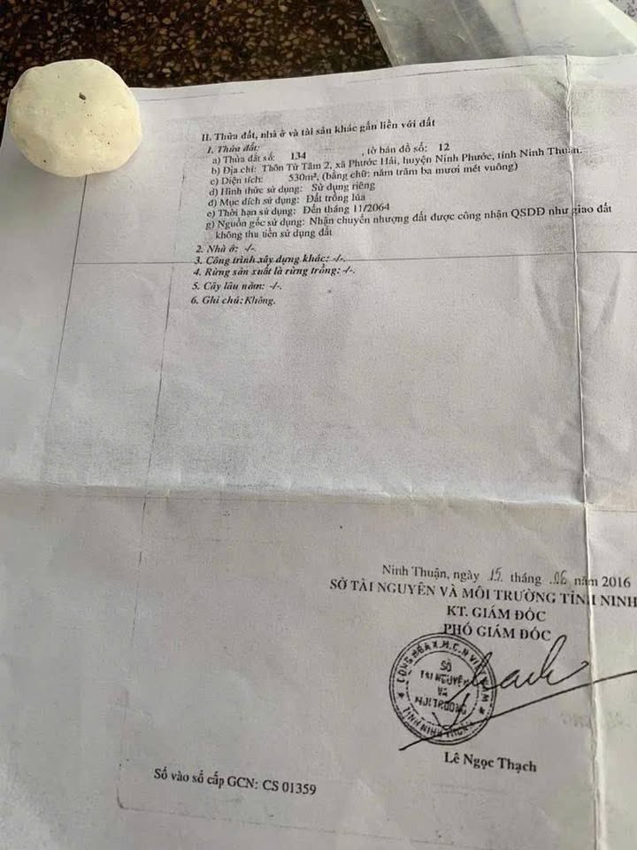 Đất mặt tiền đường nhựa, khu dân cư Vũng Tàu, gần trường học, giá 250 triệu