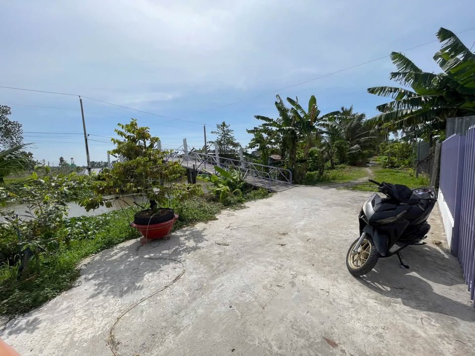 Bán miếng vườn 3119m2 view đẹp tại Mỹ Thới, An Giang