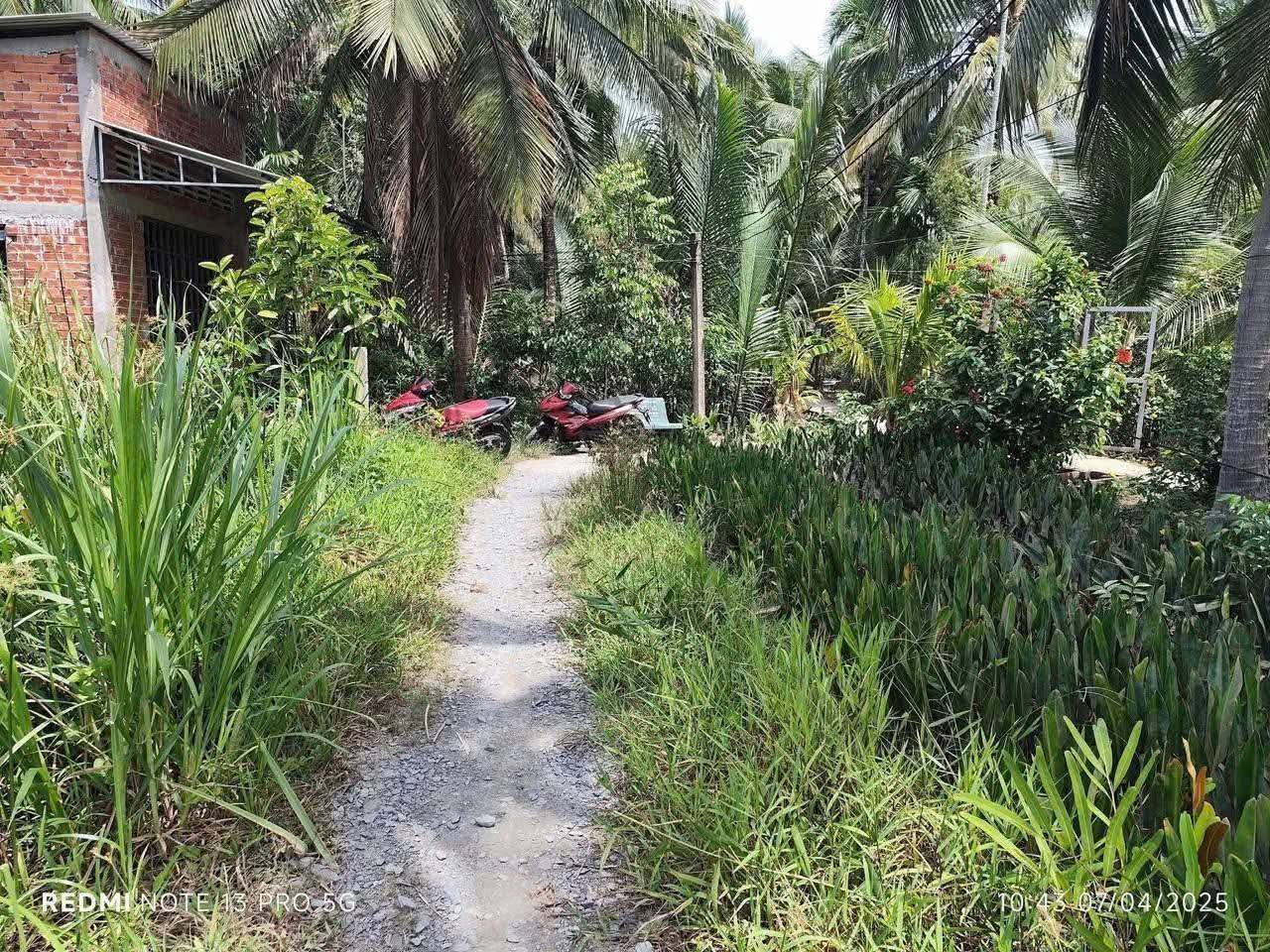 Bán đất 500m2 mặt tiền đường Hoa Lâm, Tân Phú Tây, Bến Tre - Tặng nhà nhỏ