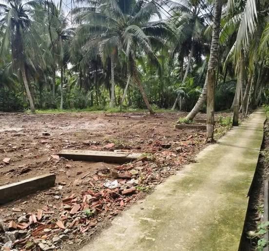 Đất Vĩnh Long, 595m2 vuông vắn, sổ thể hiện đường đi, gần lộ 30m