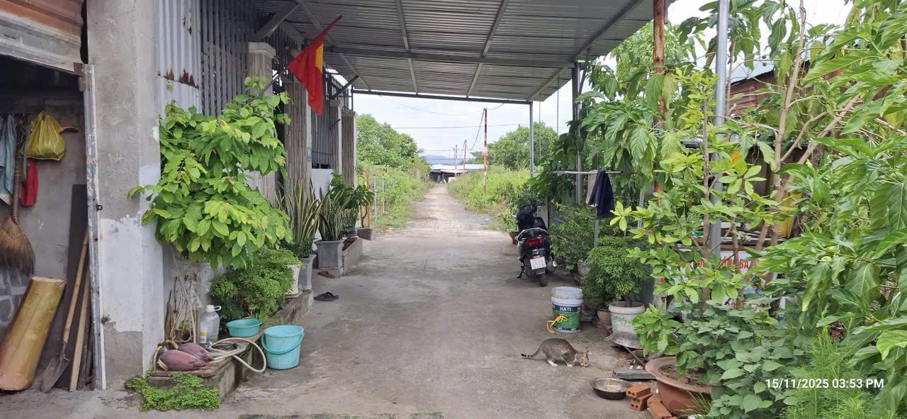 Bán đất Vũng Tàu 599 triệu, sổ hồng đẹp, hẻm rộng 4,5m, vị trí đắc địa