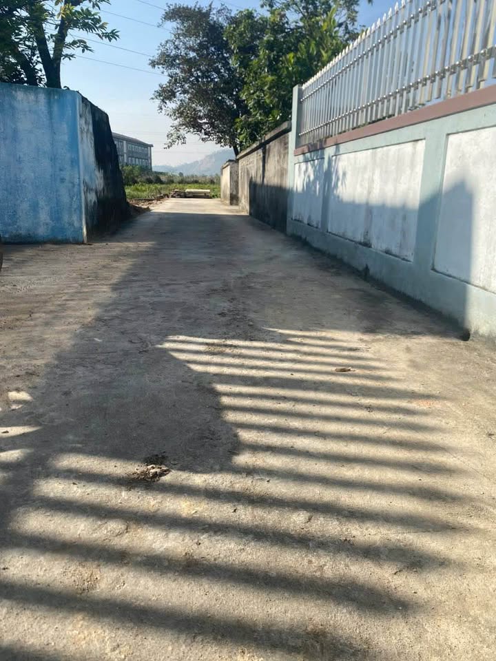 Siêu hiếm đất vườn 600m² mặt tiền rộng, ô tô tận đất tại Quốc Tuấn, An Dương, Hải Phòng