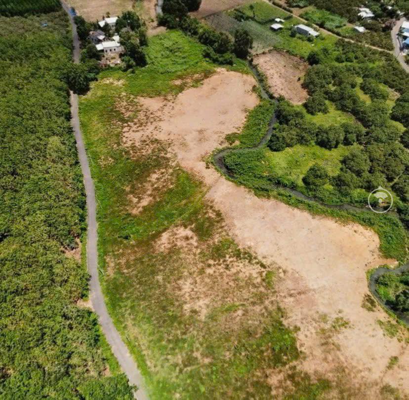 Diện tích mỗi lô 1000m2, có sẵn 80m2 thổ cư, tha hồ xây dựng tổ ấm hoặc kinh doanh homestay