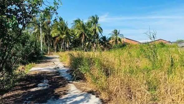 Bán đất Giao Long, Vĩnh Long, gần khu công nghiệp, đường ô tô, giá 2.6 tỷ