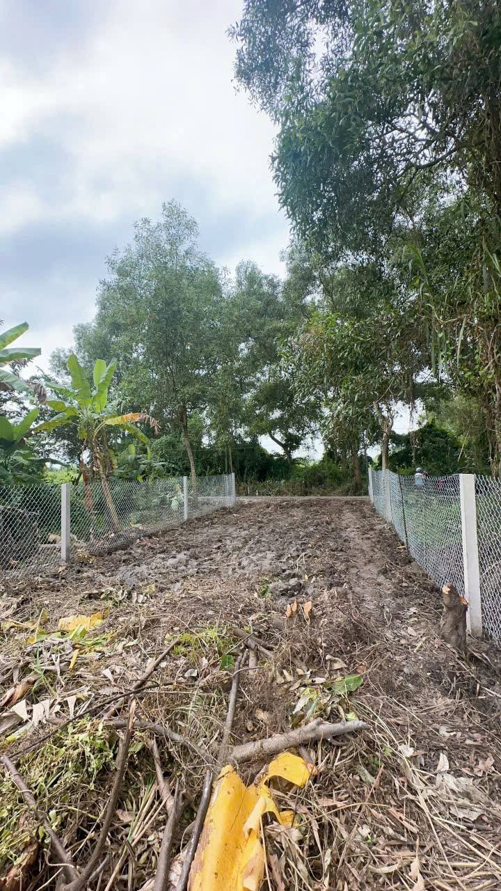 Cơ hội sở hữu ngay nền biệt thự tuyệt đẹp tại Phường Phú Tân, Tỉnh Bến Tre với diện tích lên đến 300m2