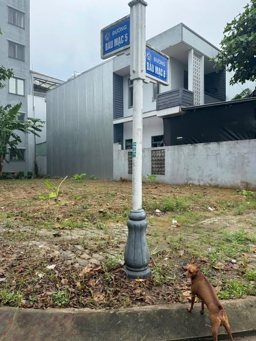 Lô đất vàng 2 mặt tiền, Bàu Mạc - Đà Nẵng, đầu tư là thắng