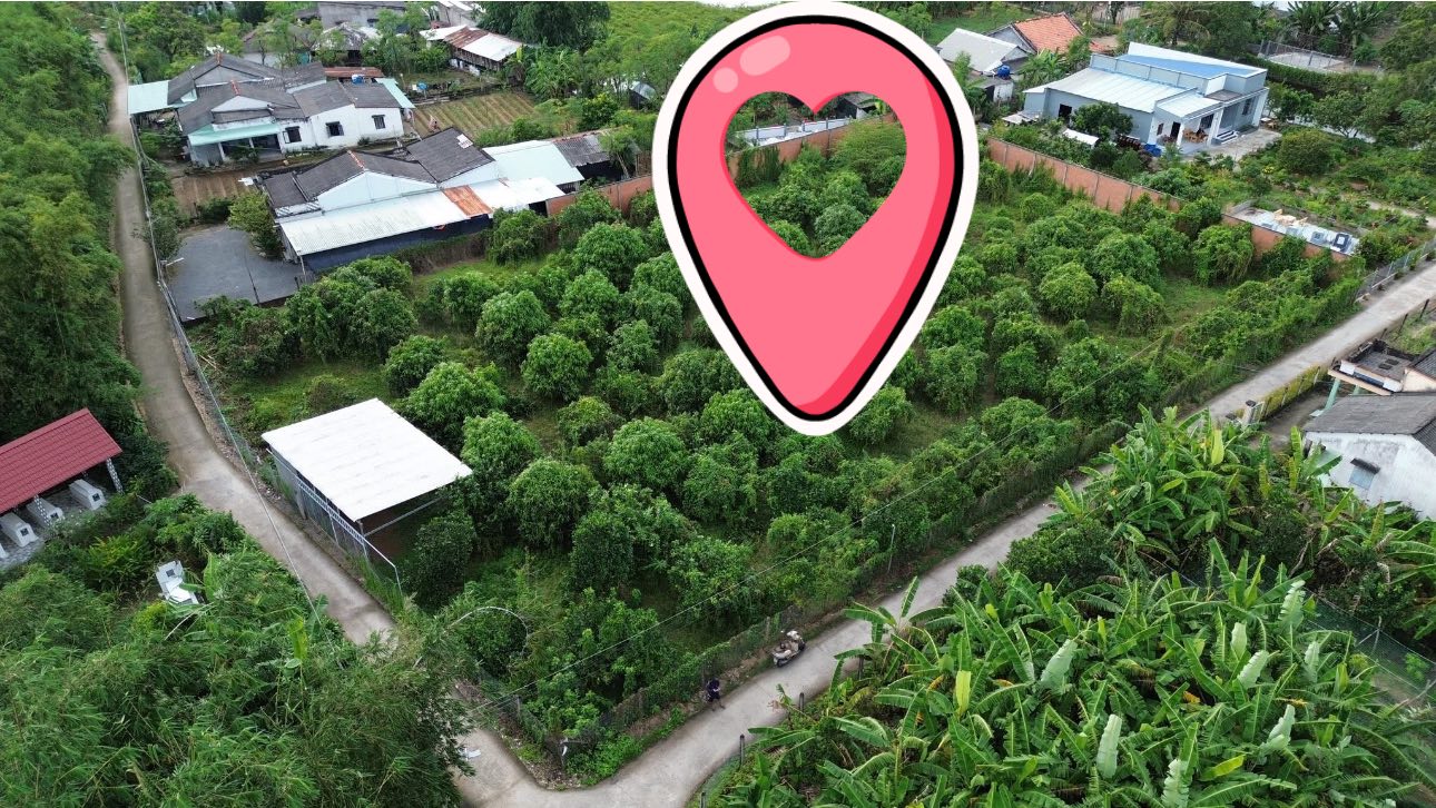 Bán đất tại Gò Công Tây, 2616m2, sẵn 400m2 thổ cư, giá chỉ 3.1 tỷ