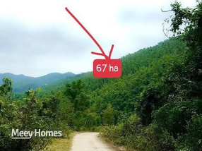Đất rừng 67 ha Quảng Ninh, bán gấp, giá hời, đường xuyên đảo sắp mở