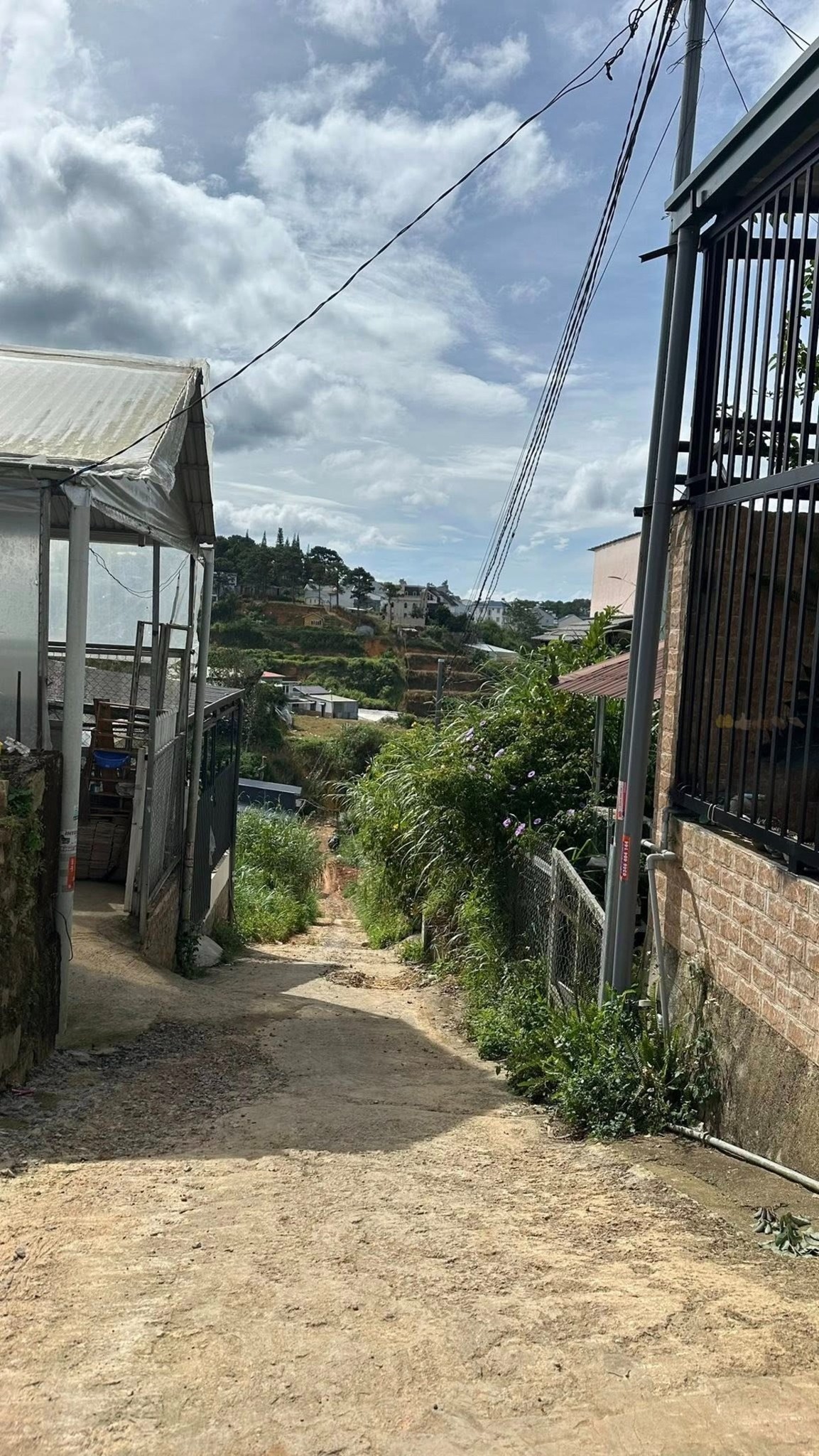 Đất Đà Lạt giá sập sàn 680 triệu/lô, nhanh tay kẻo lỡ