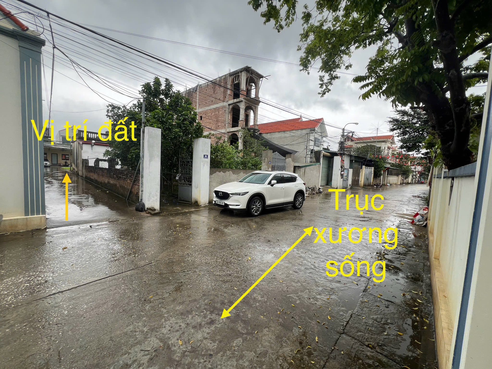 Đất nền Thường Tín vị trí vàng, giá siêu yêu, ô tô vào tận nơi