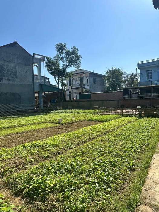 Đất nền Bản Lằng, Cao Bằng: 170m2, ô tô đỗ cửa, giá chỉ 1 tỷ