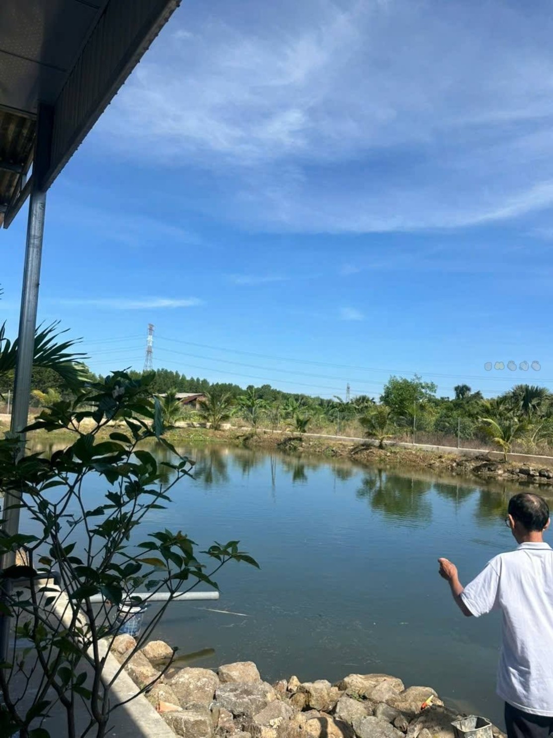 Tìm kiếm sự bình yên đích thực tại KP7, Vĩnh An, Đồng Nai