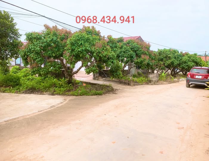 Tìm kiếm một mảnh đất "chất như nước cất" tại Lục Nam, Bắc Giang