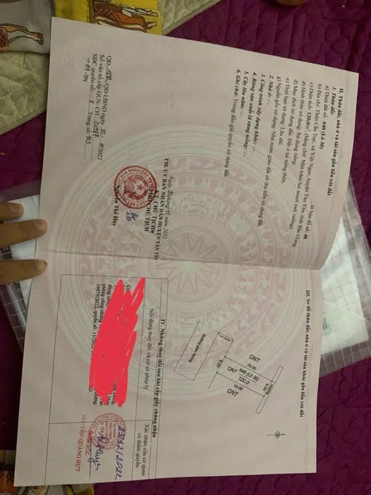 Bán đất đấu giá, hướng Nam tại khu Cầu Trại, Sóc Sơn