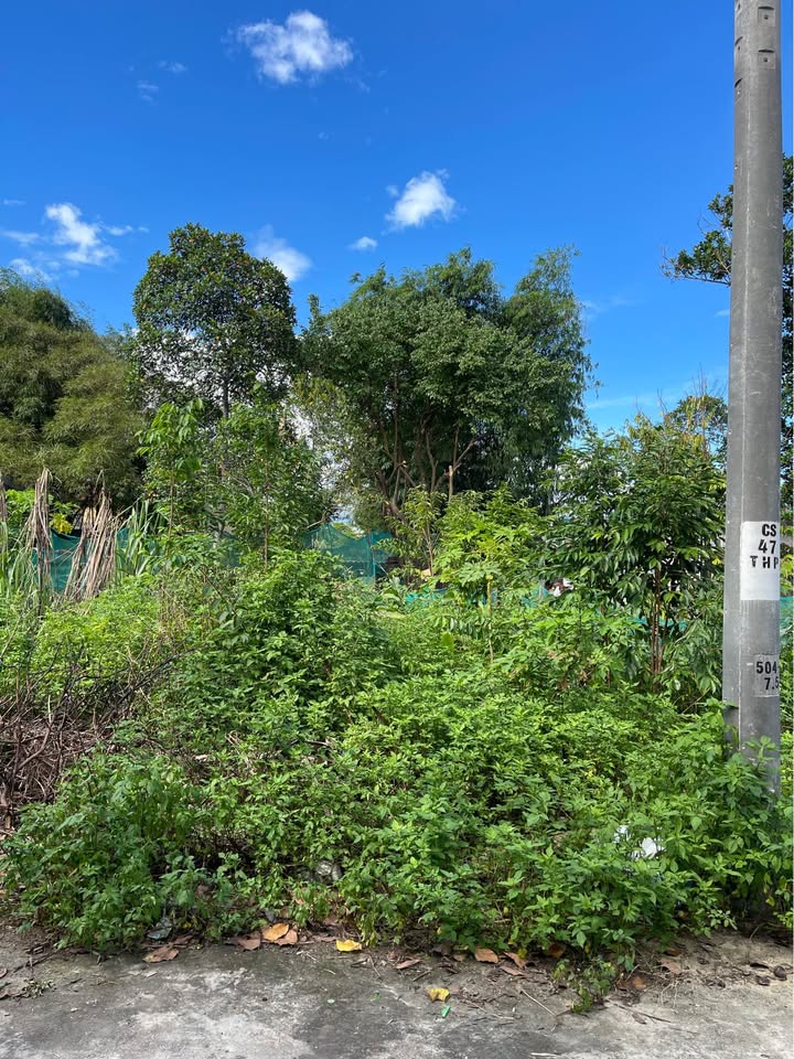 Đất vàng Đà Nẵng, 2 lô liền kề 121m2/lô, giá hời 1,5 tỷ/lô