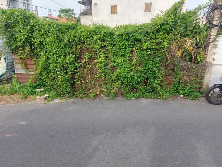 Bán đất sổ riêng tại mặt hẻm 1216 đường 30/4, Phường 12, Thành phố Vũng Tàu