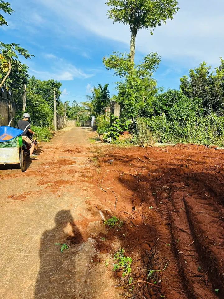 Khám phá mảnh đất tuyệt vời tại đường 3A, Hòa Thuận, Đạt Lý, Đắk Lắk