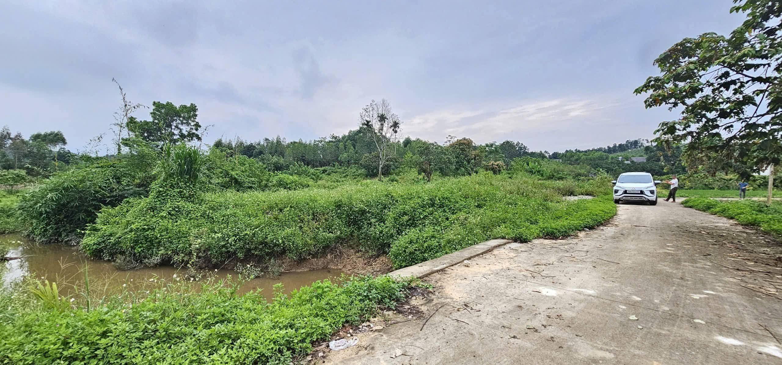 Bán đất nghỉ dưỡng 3000m2 Yên Thế, Bắc Giang, view đồng thoáng đãng, bám suối