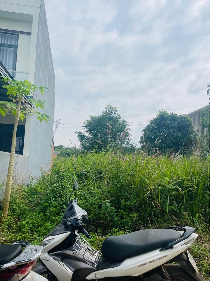 Bán Đất Hẻm 139 Tạ Quang Bửu, Phường Thành Nhất, Đắk Lắk - Diện Tích 125m2