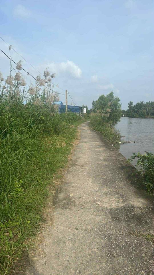 Nền đất ấp 10, xã Sông Đốc, Cà Mau, nơi giao thoa của sự thịnh vượng và an lành