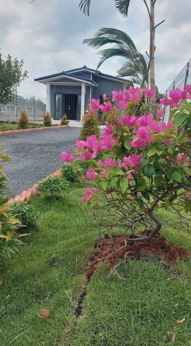 Bán nhà vườn 1000m2 tại Long An, giá 1.65 tỷ