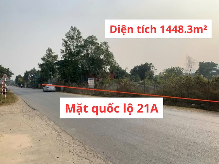 Đất vàng Lạc Thủy, diện tích 1448m² đất cây lâu năm, mặt tiền rộng 20m, sổ hồng riêng