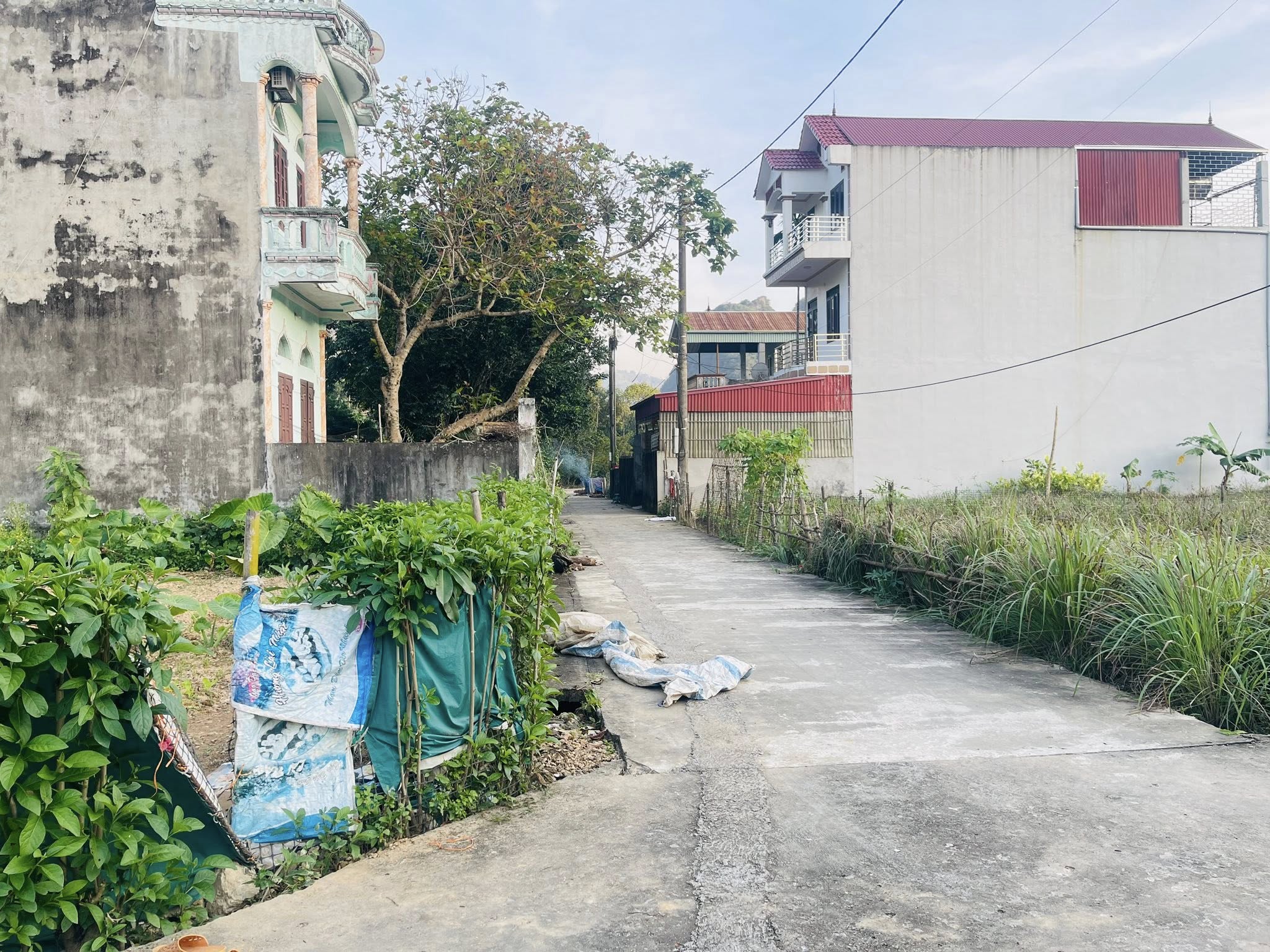 Bán nhanh 226m2 đất thổ cư sát sân golf Phượng Hoàng, Lương Sơn, Hòa Bình