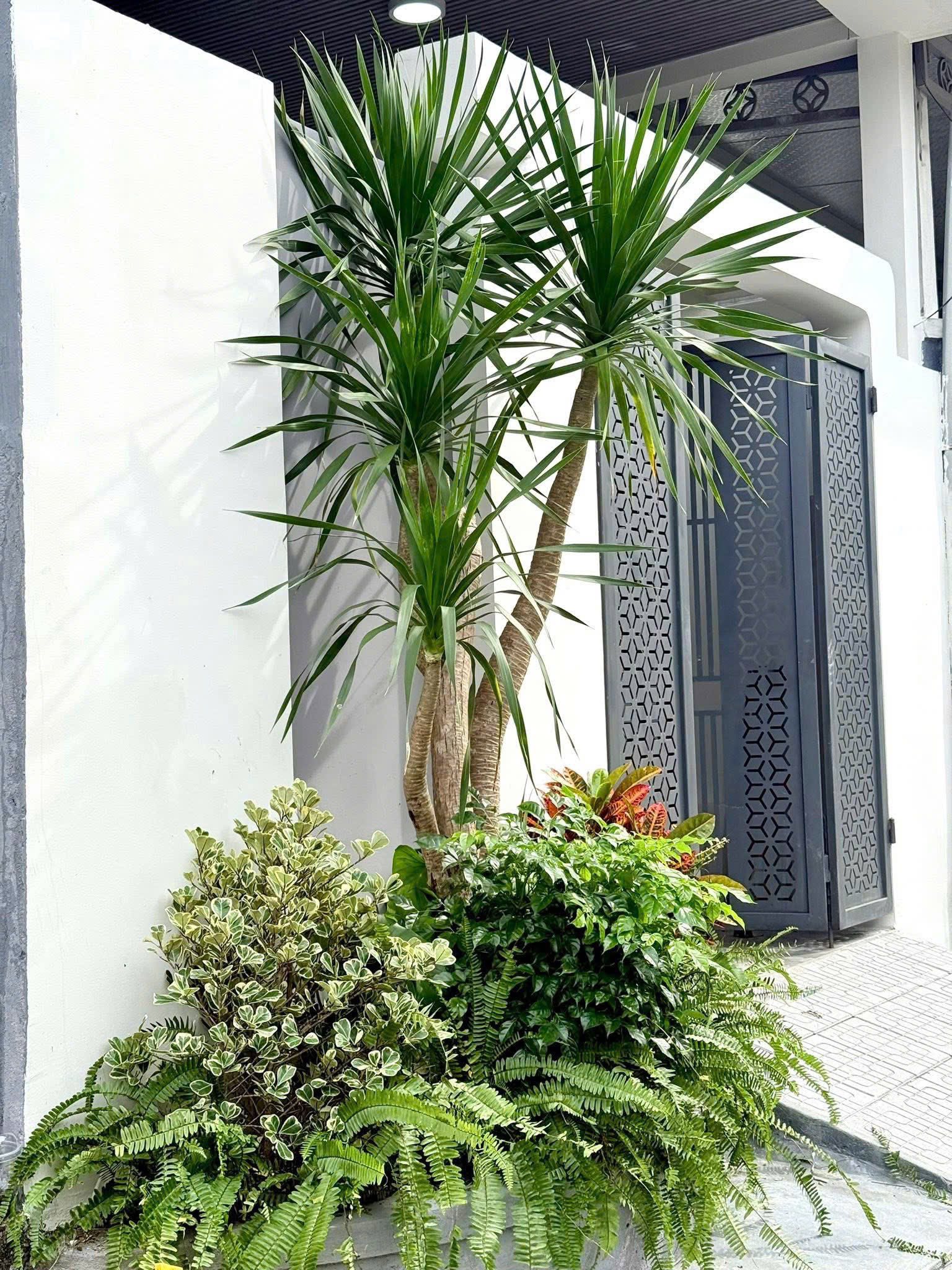 Nhà mặt tiền đường 7m - Huế cổ kính, An Cựu