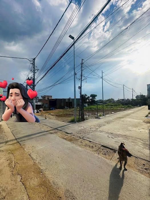 Đất Phước Lâm, Long Điền 1.59 tỷ chốt nhanh, gần biển, dân cư đông đúc