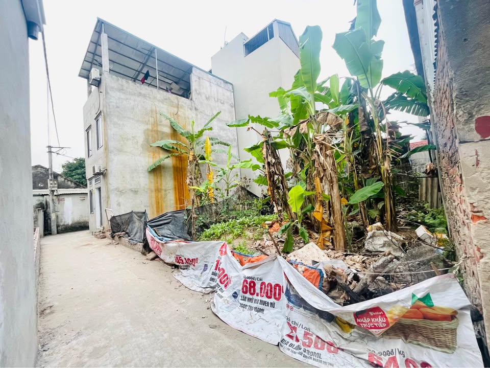 Đất vàng Tân Lập 50m2 gần chợ, trường học, chỉ 800m đến Vinhome