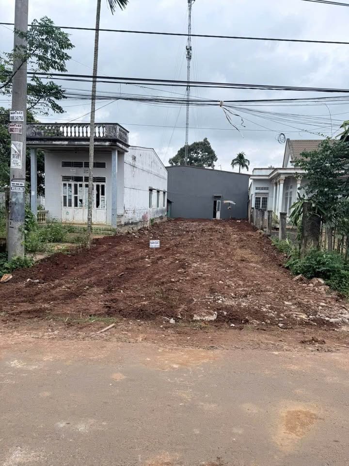 Bán đất mặt tiền Nguyễn Xuân Nguyên, Buôn Ma Thuột 225m2, 4,3 tỷ