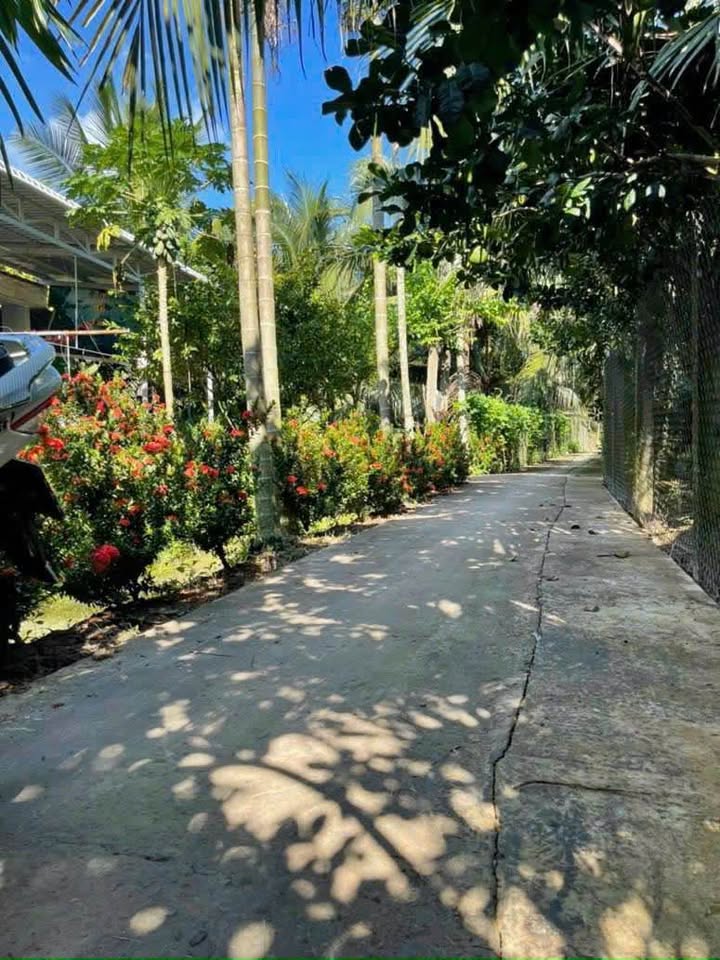 Đất thổ cư Quới Sơn, Châu Thành - An cư lạc nghiệp, chỉ 540 triệu