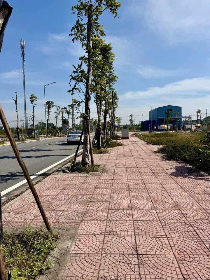 Bán đất liền kề trung tâm thương mại Vân Đình, 107.3m2, mặt tiền 5m, gần QL21B